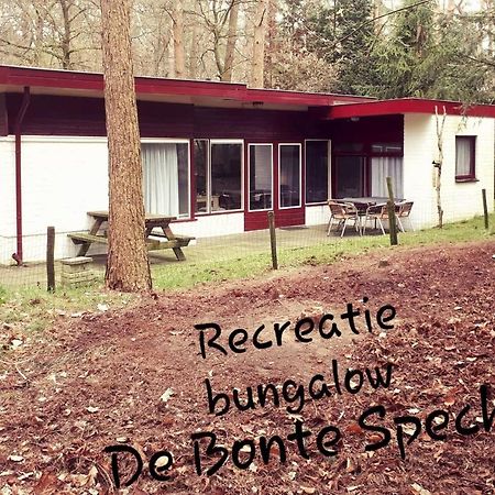 Bonte Specht Villa Otterlo Exteriör bild