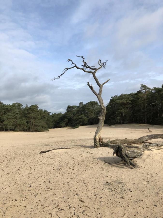 Bonte Specht Villa Otterlo Exteriör bild